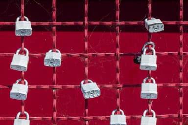 What is cross-site scripting (XSS) and how does it work?